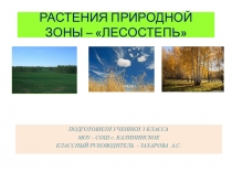 Презентация Лесостепь