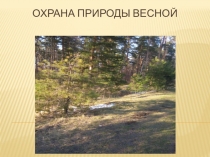 Презентация Охрана природы весной