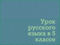 Презентация по русскому языку на тему Имя существительное (5 класс)