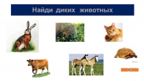 Презентация (игра) по окружающему миру Найди диких животных