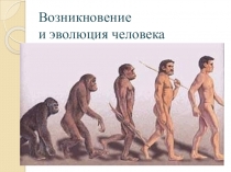 Презентация по биологии на тему ЭВОЛЮЦИЯ ЧЕЛОВЕКА