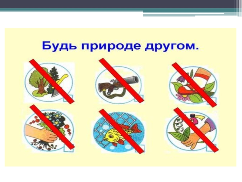 Будь природе другом 2 класс. Будь природе другом. Проект будь природе другом. Карточки будь природе другом. Человек будь природе другом.