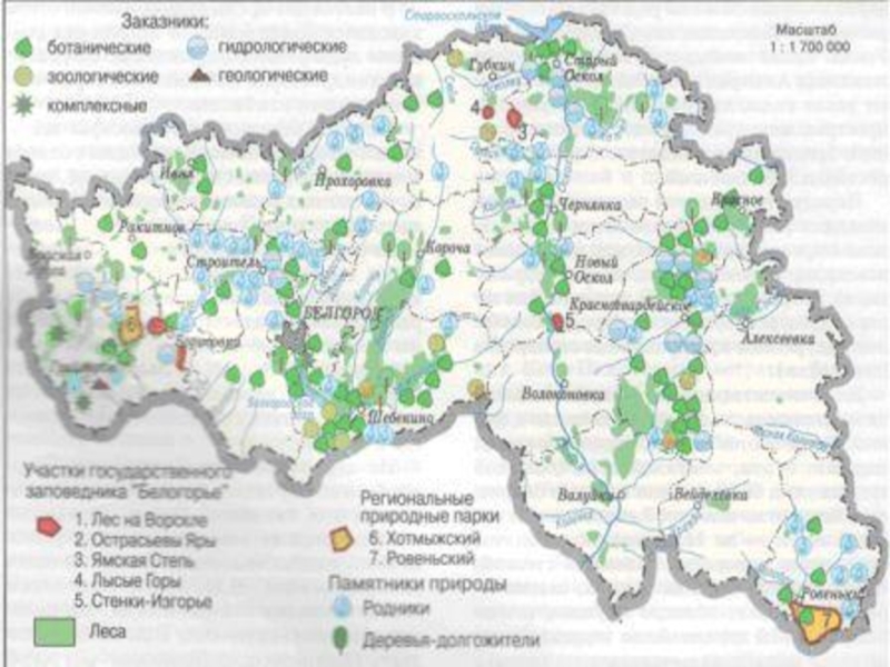 Леса в белгородской области карта покрытия