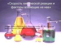 Презентация по химии на тему Скорость химических реакций и факторы влияния на неё