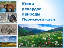 Презентация по экологии на тему Книга рекордов Пермского края.