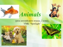 Животные урок английского языка, 2 класс, УМК “Spotlight”