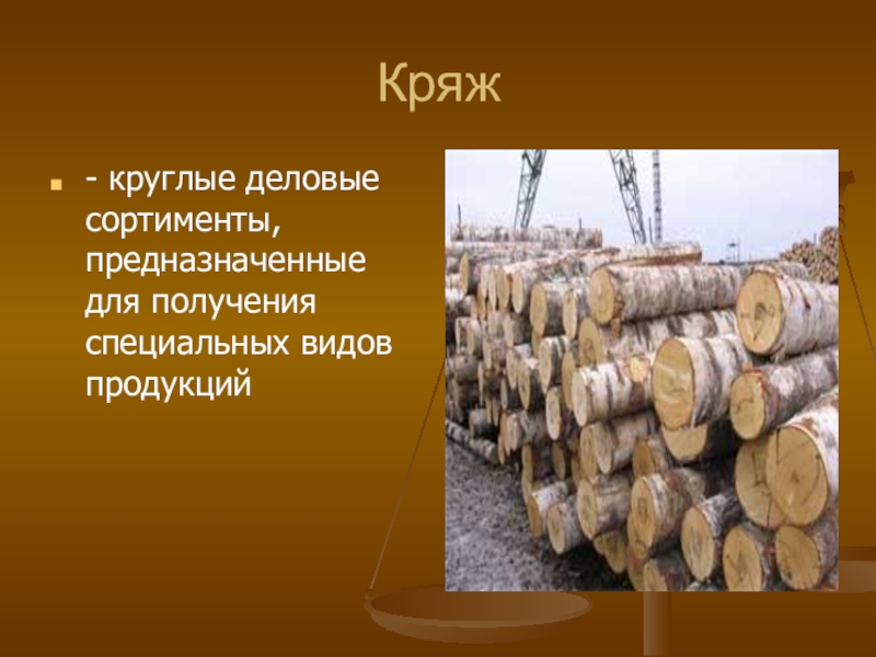 Кряж это. Лесоматериалы: бревно, Кряж, Чурак, хлыст. Кряж древесины это. Дерево кругляк Кряж. Кряж Лесоматериал.