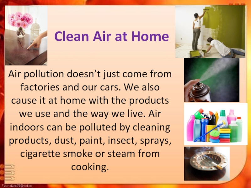 Clean Air at HomeAir pollution doesn’t just come from factories and our cars. We also cause it