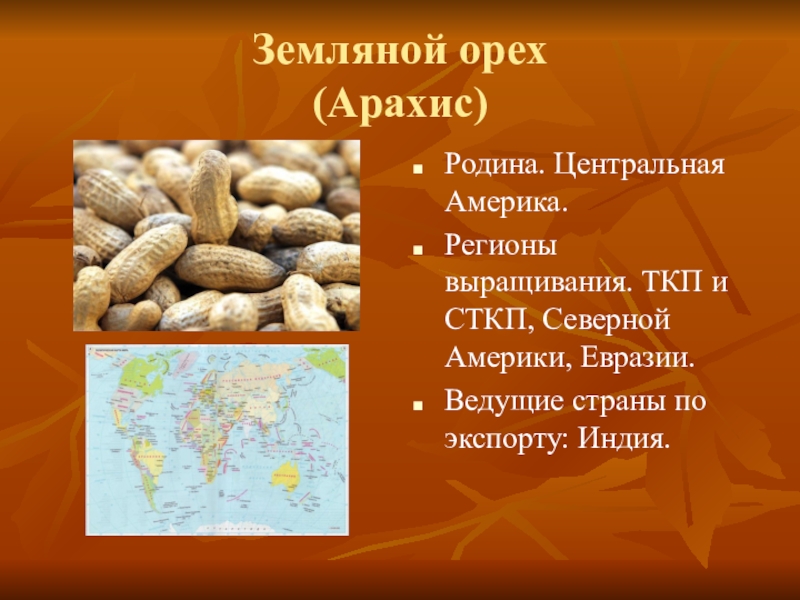 Арахис производители. Производство арахиса. Основные страны производители арахиса. Арахис Родина происхождение. Страны выращивающие арахис.