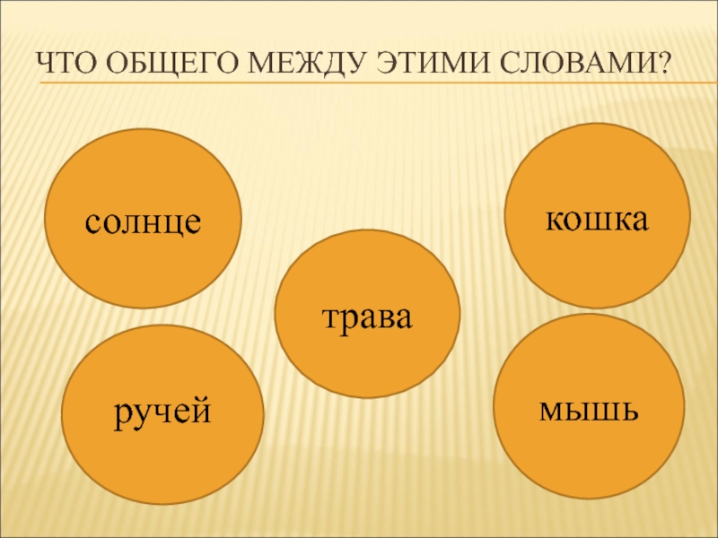 Что общего между цветами. Кластер по теме солнце. Кластер шаблон. Кластер кошка. Кластер на тему кошка.