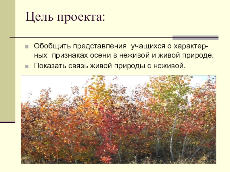 Осень цель. Что такое обобщенное представление о природе. Живое обобщенное представление. Презентация обобщающая всех признаков осени. Название этому дереву дали по его внешним признакам осенью оно яркое.