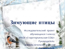 Презентация исследовательского проекта Зимующие птицы