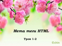 Презентация по информатике на тему HTML: Мета-теги в управлении страниц (11 класс)