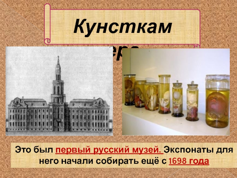 КунсткамераЭто был первый русский музей. Экспонаты для него начали собирать ещё с 1698 года
