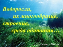 Презентация по биологии на тему Водоросли