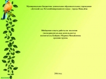 Обобщение опыта по экологии