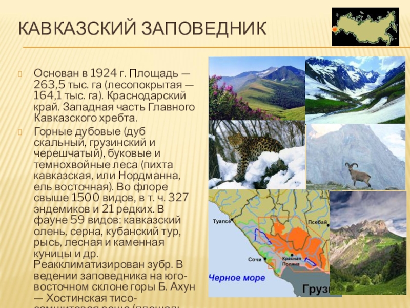 Краткое сообщение про заповедник. Проект заповедник. Сведения о заповедниках России. Сообщение о заповеднике. Заповедники России презентация.