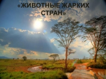 Презентация Животные жарких стран