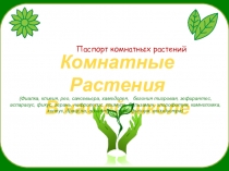 Презентация к внеклассному занятию Комнатные растения