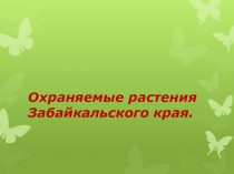 Презентация по географии, на тему Охраняемые растения Забайкалья 10 класс
