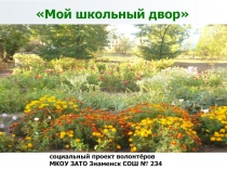 Презентация Мой школьный двор