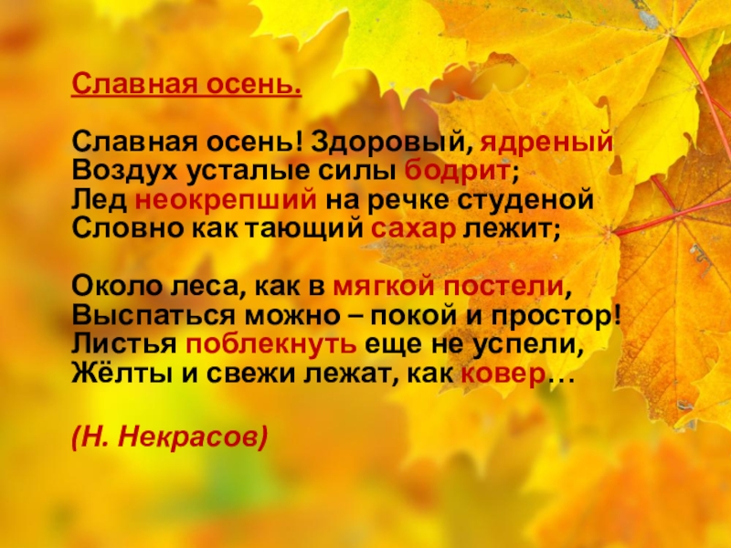 Славная осень здоровый воздух. Славная осень здоровый ядреный. Славная осень здоровый ядреный. Осень здоровый ядреный воздух. Славная осень здоровый ядреный воздух усталые силы бодрит.
