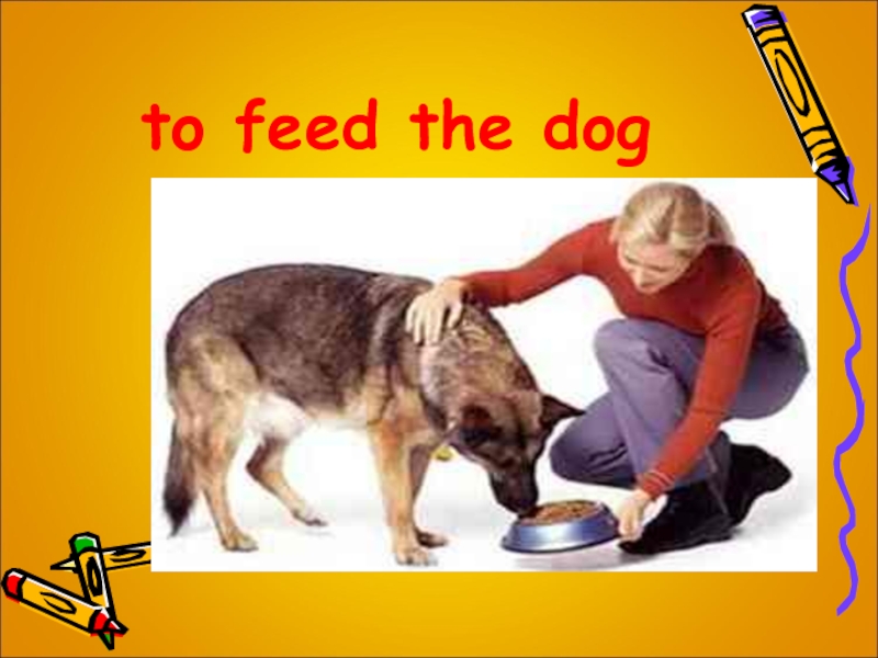 Feed the dog. Feed the Dog картинка. Feed the Dog Flashcard. I will Feed the Dog правило. To Feed.