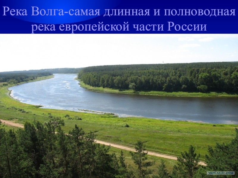 Дельта самой протяженной реки европейской части россии