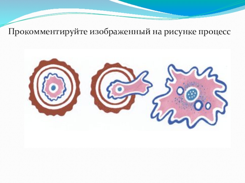 Какой процесс изображен на картинке