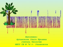 Презентация элективного курса Генеалогия и здоровье моей семьи