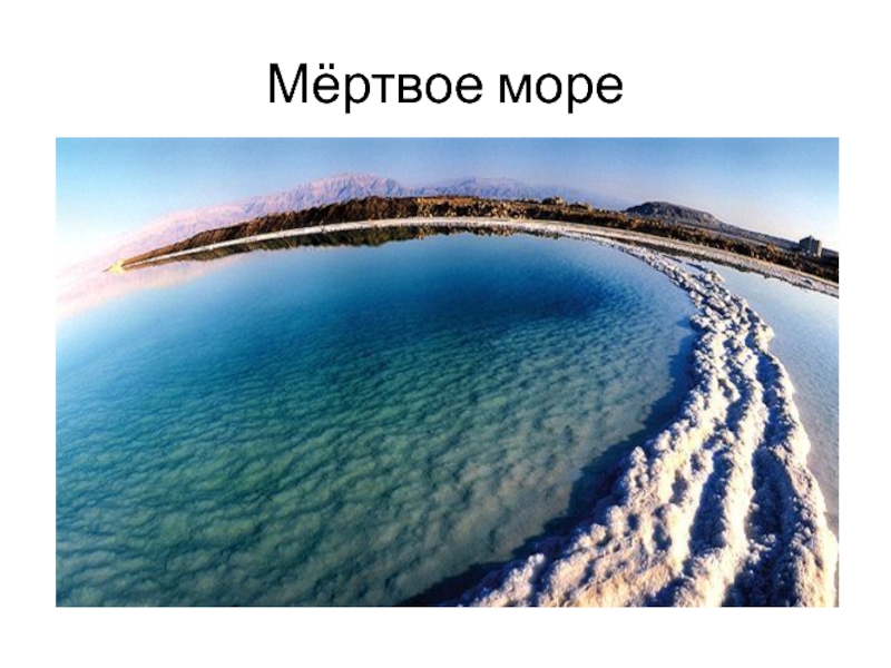 Описание мертвого моря. Плотность мертвого моря. Мертвое море проект. Мертвое море факты.