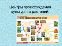 Конспект урока Центры происхождения культурных растений 6 класс