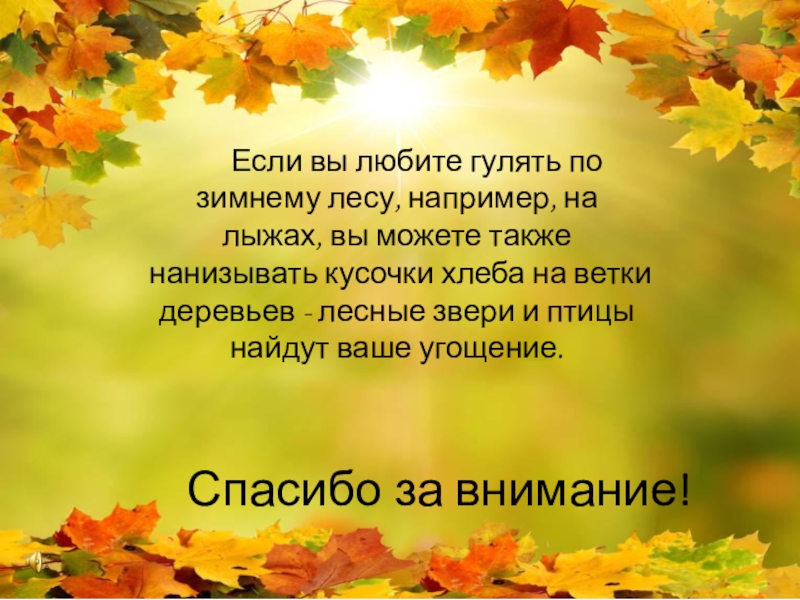 Спасибо за внимание! Если вы любите гулять по зимнему лесу, например, на лыжах, вы можете также нанизывать кусочки