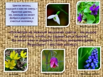 Презентация к занятию по теме Букет весны