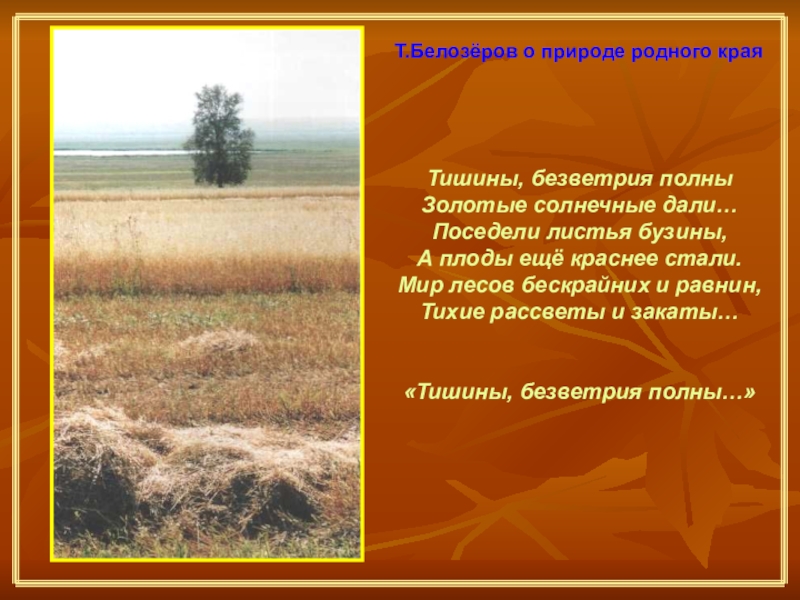 Бескрайней равнине или бескрайной как правильно. «Равнина» к. д. Бальмонта. Стихи про равнины. Стихотворение Бальмонта о равнине.