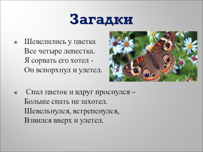 Рассказ о слове 3 класс проект по русскому