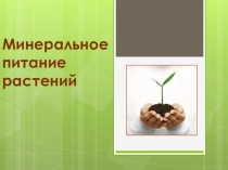 Презентация для интегрированного урока биологии Фотосинтез. Минеральное питание. Дыхание