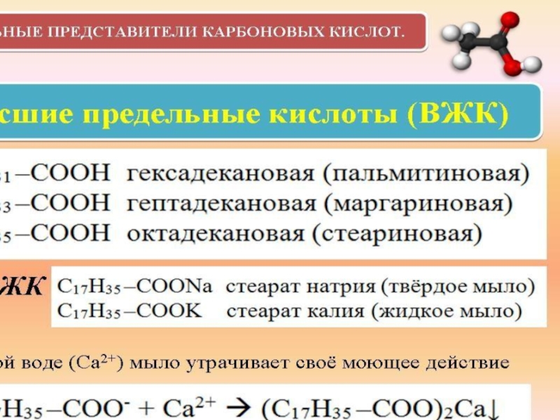 Олеиновая и стеариновая кислота формулы. Формула стеариновой карбоновой кислоты. Карбоновые кислоты олеиновая стеариновая. Карбоновая кислота структурная формула. Формулы высших карбоновых кислот.