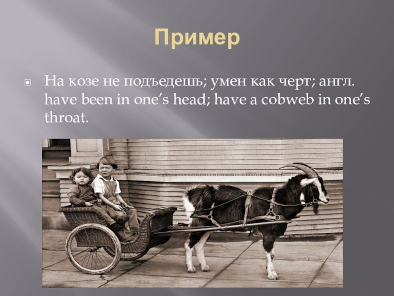 На кривой козе не подъедешь. На козе не подъедешь значение фразеологизма. На кривой козе не подъедешь. На козе не подъедешь значение фразеологизма. Картинка к фразеологизму на кривой козе не подъедешь.