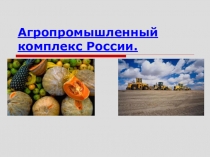 Презентация и конспект урока по географии на тему Агропромышленный комплекс России (9 класс)