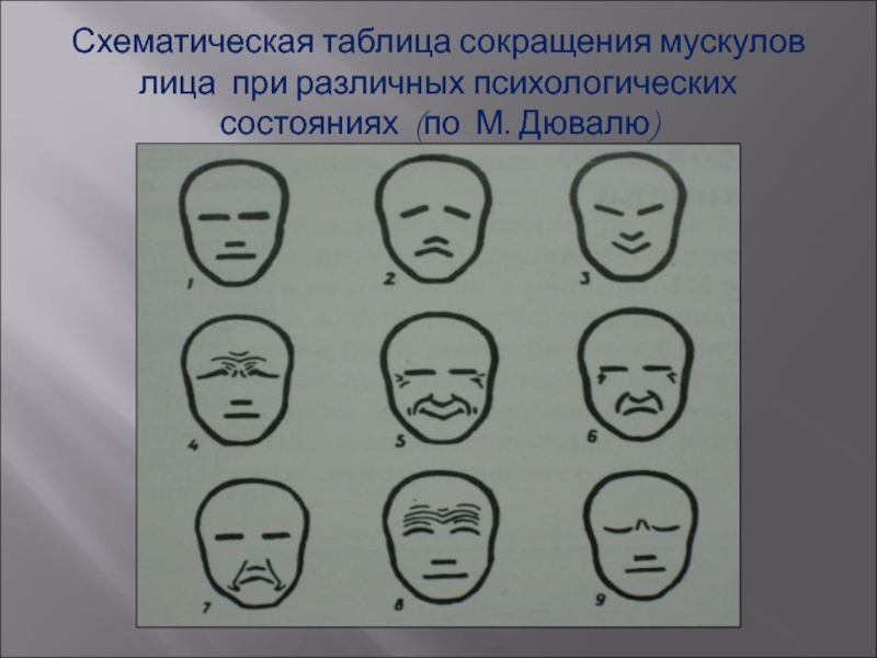 Тема портрет 6 класс. Графический портрет 6 класс. Схематическая таблица. Таблица психологических состояний Дюваля. Изо 6 класс тема мимика.