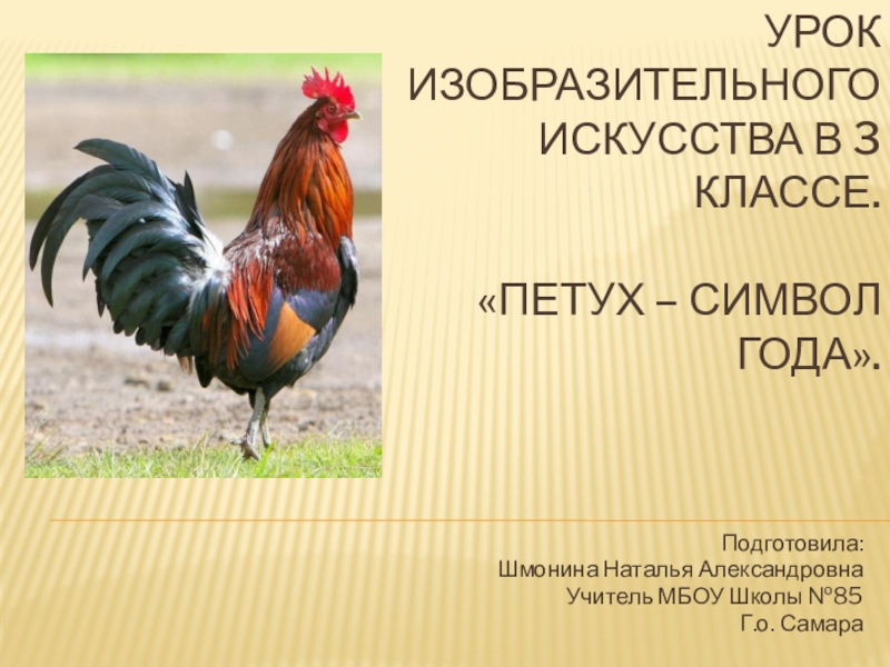 3 петушки. Петух символ чего. Предложения для 1 класса о петушке. Символ петух что означает. Символ петуха значение.