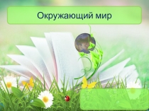 Что растет в городе?