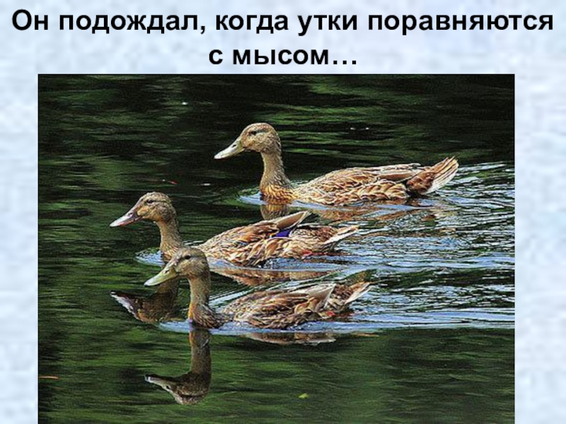 васюткино озеро васюткино озеро васюткино озеро. в п астафьев васюткино озеро рисунок. васюткино озеро. астафьев васюткино озеро рисунки к рассказу. родной природы уголок.