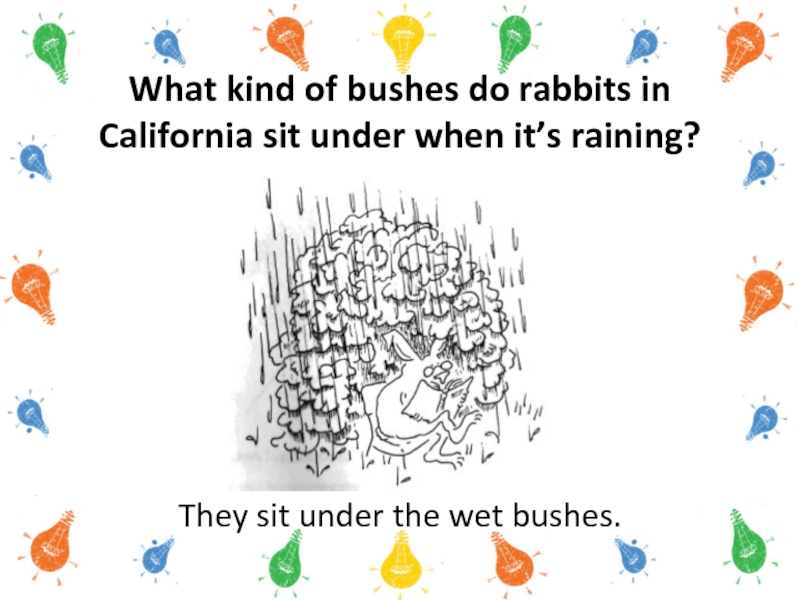 What kind of bushes do rabbits in California sit under when it’s raining?They sit under the wet