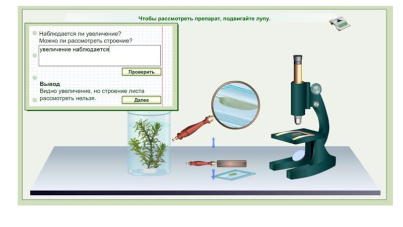 Лабораторная работа 5 класс оборудование. Микроскоп задание. Работа с микроскопом по биологии. Опыты по биологии с микроскопом. Работа с микроскопом по биологии 5 класс.