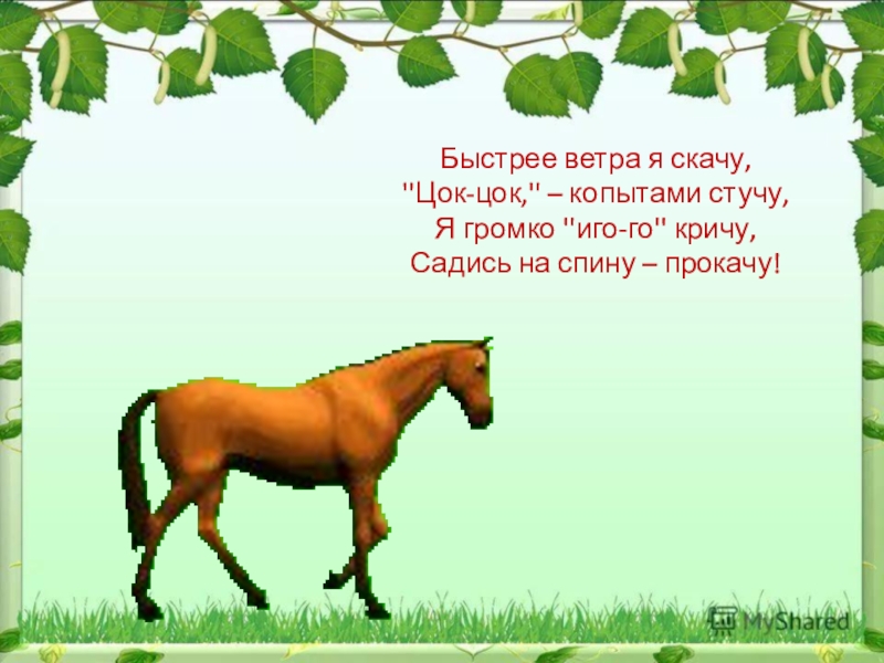 Цок цок у него появилась. Иго го. Цок цок цок стучат копытца. Стишок про лошадку иго-го. Цок цок цок копытами.