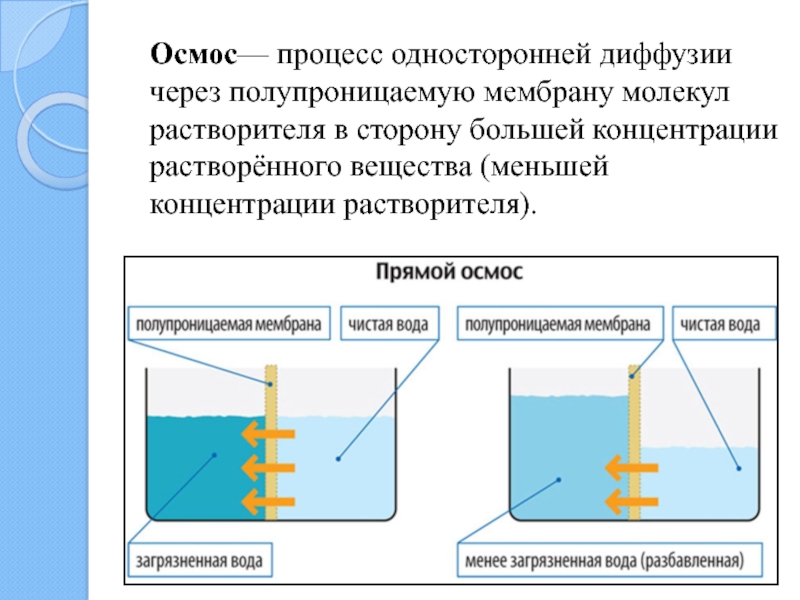 Осмос— процесс односторонней диффузии через полупроницаемую мембрану молекул растворителя в сторону большей концентрации растворённого вещества