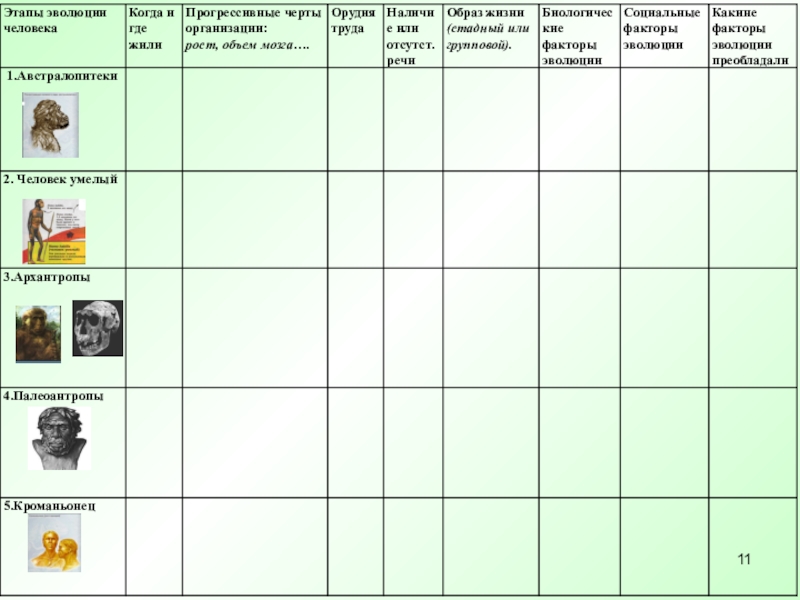 Этапы эволюции человека 9 класс биология презентация