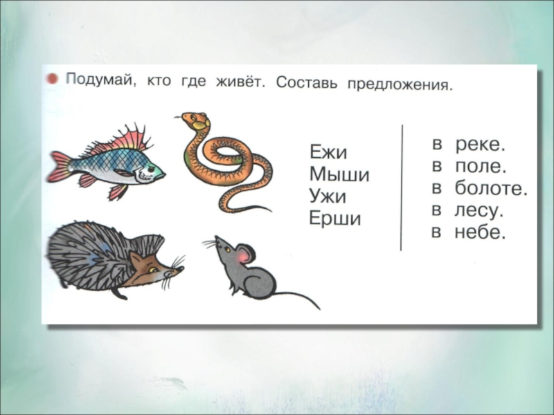 4 3 предложения на реке. Звук и буква ЖЖ. Где живут Ерши. Придумать предложения кто где живет. Ежи мыши ужи Ерши.